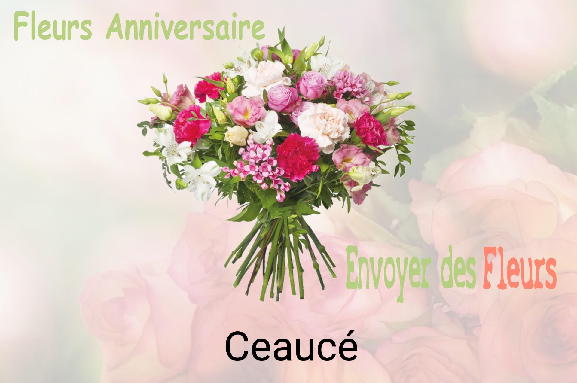 Bouquet de fleurs d’anniversaire livré à Ceaucé