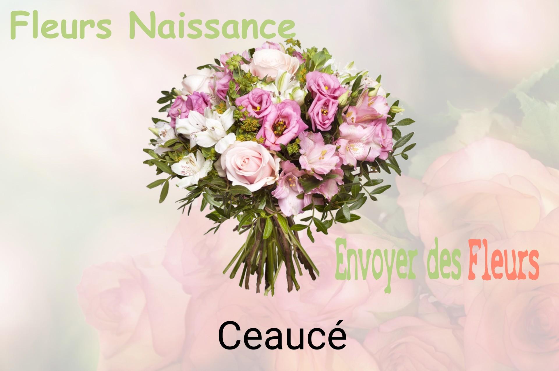Bouquet de fleurs de naissance livré à Ceaucé