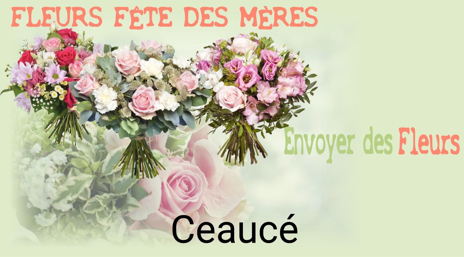 Bouquet de Fête des Mères livré à Ceaucé